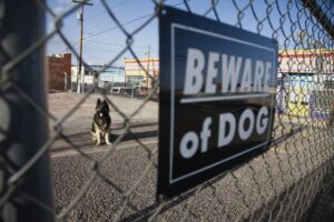dog bite injury lawyer in Tempe, AZ